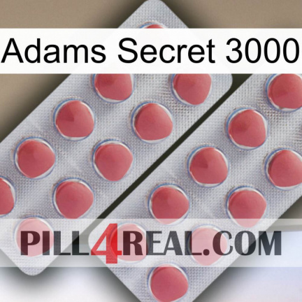 Adams Secret 3000 19